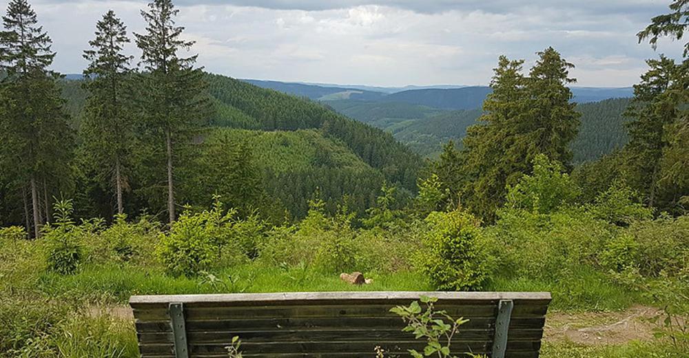 Ferienhaus Astenblick - Ideal Fuer Weihnachtsfeiern Und Familienfeiern Bietet Schlafplaetze Fuer Bis Zu 35 Personen Villa Winterberg Exterior foto